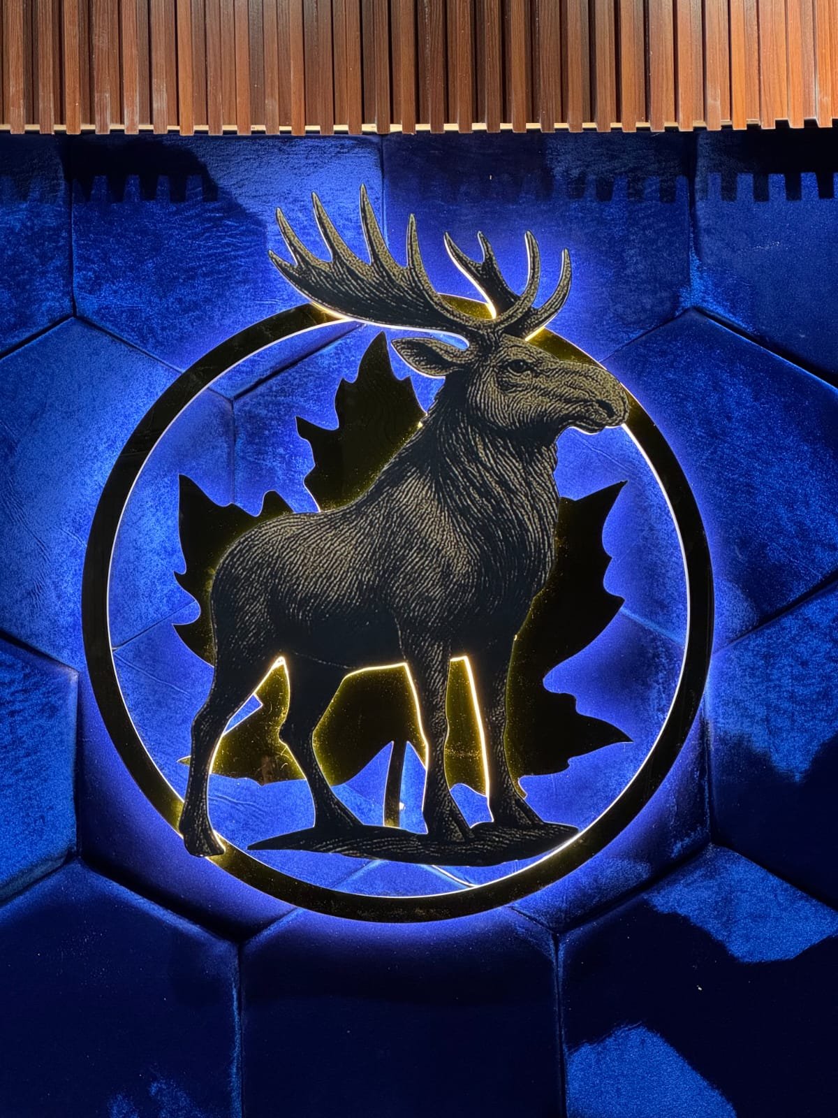 Backlit panel signs example 2